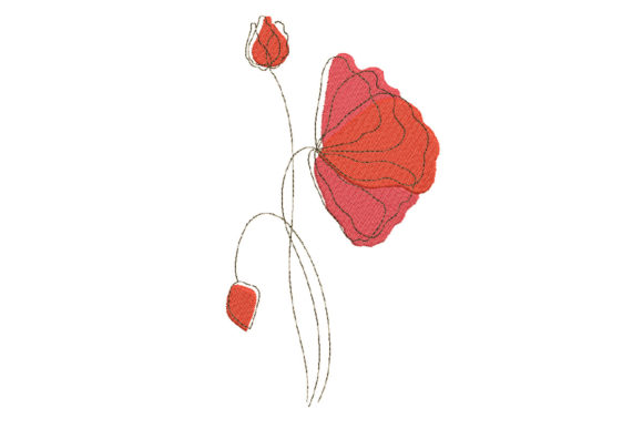 Poppy or Rose Flowers: A Designer’s Real-World Review